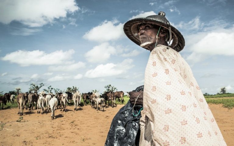 Un rapport du CICR met en évidence l’impact du changement climatique et conflits sur les plus vulnérables de la planète