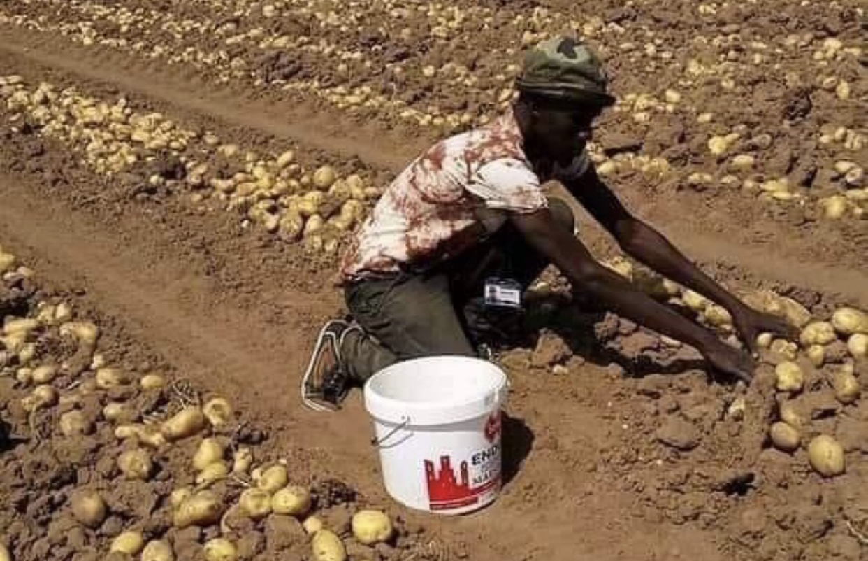 Quid de la certification bio en Afrique ?