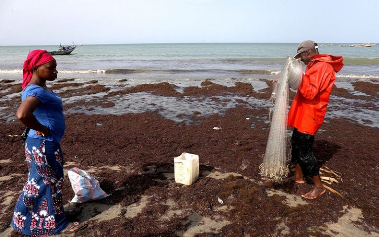 Des chalutiers illégaux menacent l’industrie gambienne de la pêche