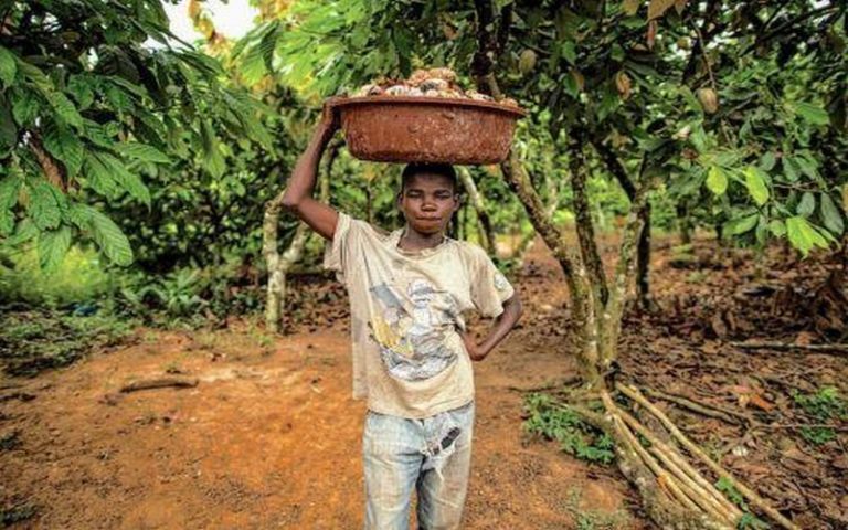 L’Anthropologue Alfred Babo estime que l’école n’est pas forcément la première des solutions efficace contre le travail des enfants