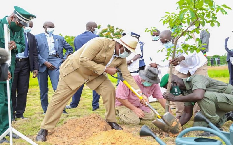Le Sénégal célèbre la Journée nationale de l’arbre à Diamniadio