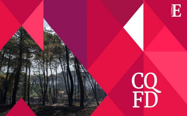 Les effets du réchauffement climatique sur les forêts mis en exergue