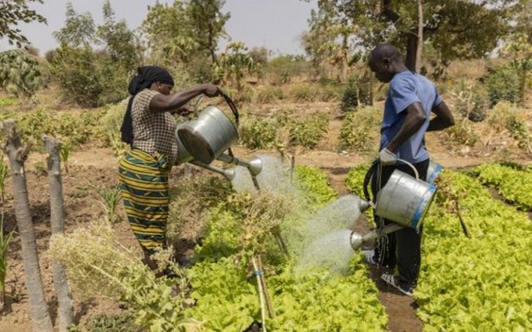 Les jeunes et les femmes pour apporter des réponses face au Covid-19, aux changements climatiques et droits de l’Homme dans le Sahel