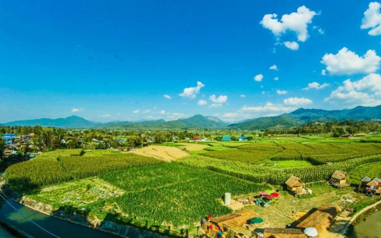Extension de l’approche SHEP : Le Japon finance la promotion de l’agriculture au Mali