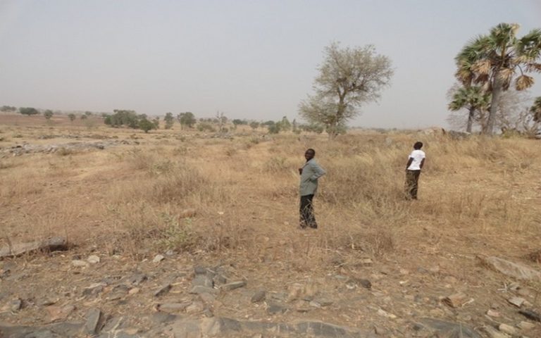 Au Togo, une communauté peuhle assure la durabilité de sa terre