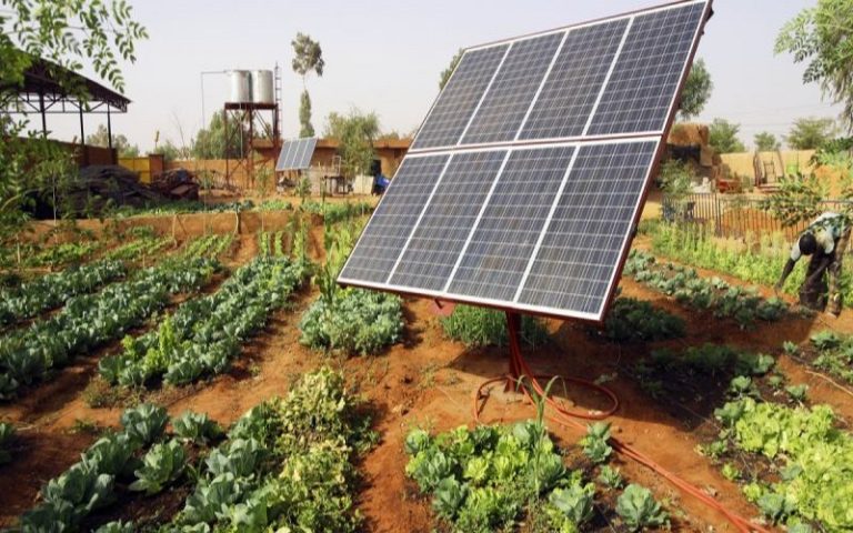 L’UE soutient l’entrepreneuriat féminin à travers les énergies renouvelables au Sénégal