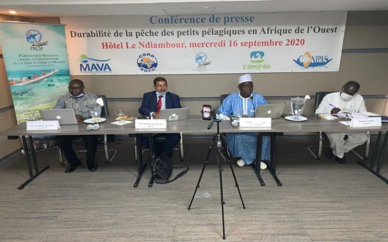 Les acteurs de la pêche planchent sur la gouvernance des petits pélagiques en Afrique de l’ouest