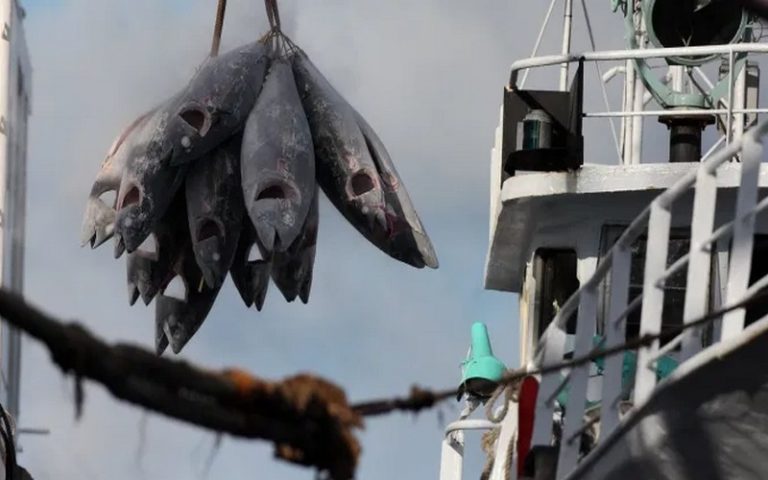 Les pays du monde pourront-ils s’unir pour combattre la pêche illégale ?