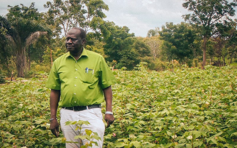 Les technologies à l’origine du Prix pour l’alimentation Africain 2020 du Dr André Bationo