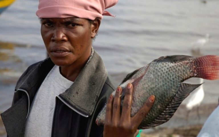Madagascar : un manque à gagner de plus de 500 millions de dollars par an sur les ressources halieutiques (ministre)