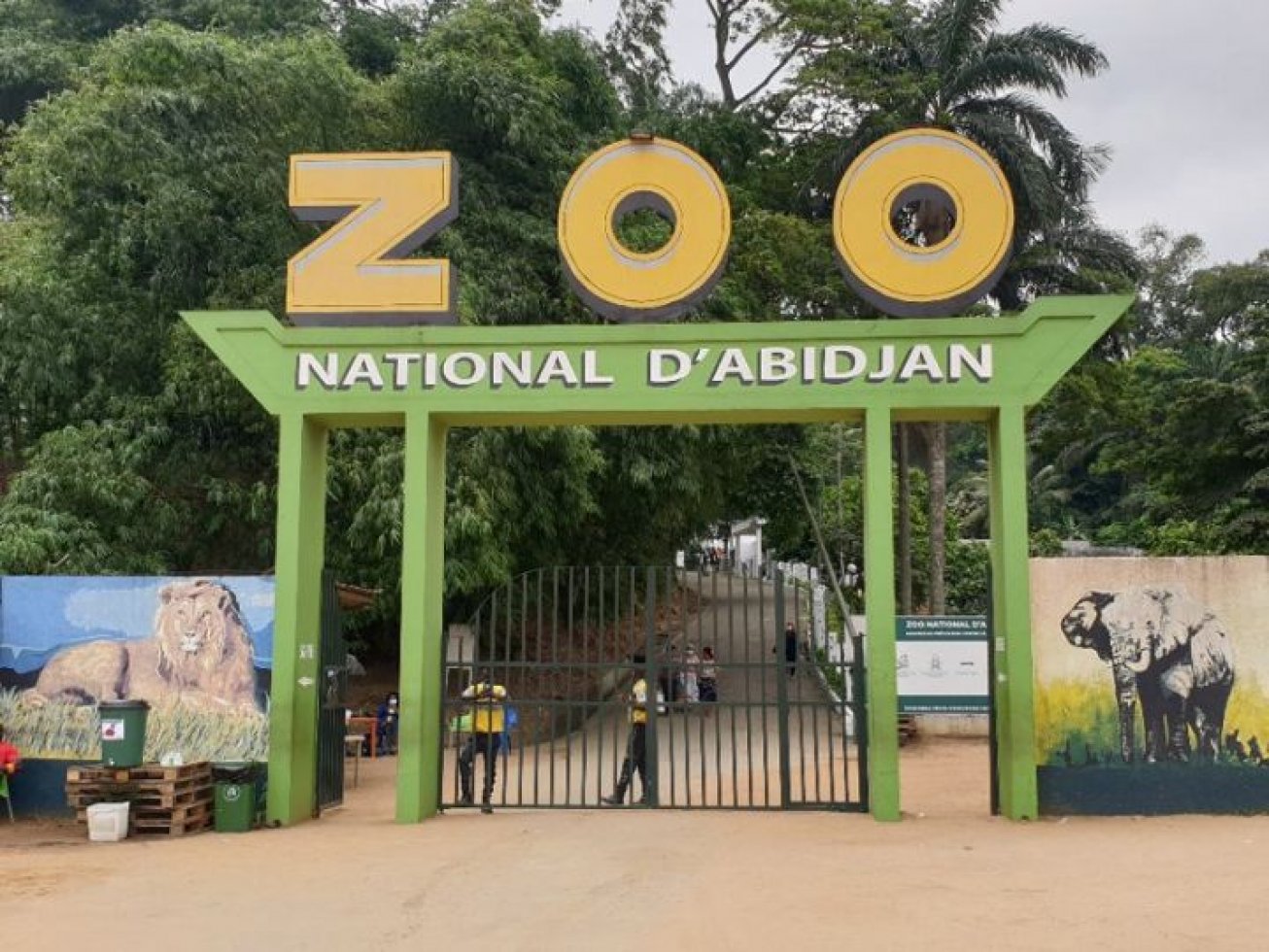 Fermeture du zoo d’Abidjan suite à l’évasion d’une hyène
