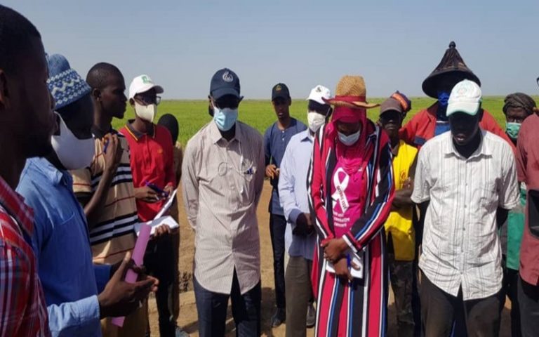 Sénégal : Aboubacry Sow invite les jeunes candidats à l’émigration clandestine à un retour vers la terre