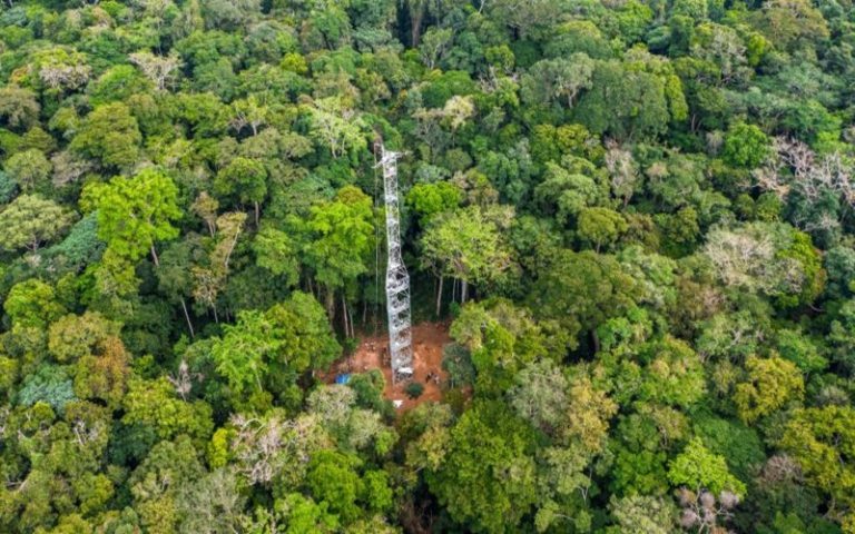 Bassin du Congo : la réserve de biosphère de Yangambi dotée d’une première tour à flux de carbone