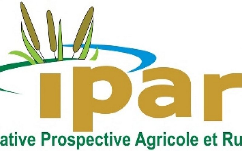 Commerce du riz et développement de la filière riz en Afrique de l’Ouest : une approche pour des politiques publiques plus cohérentes