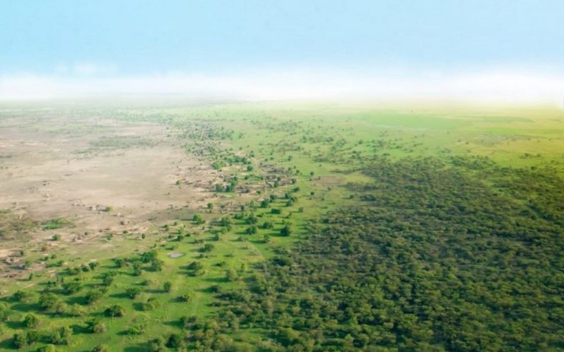 Environnement : Un rideau de verdure pour l’Afrique