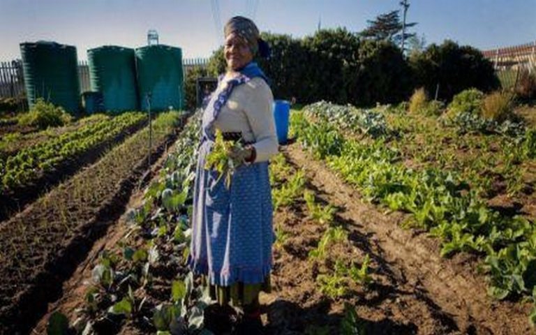Expropriation foncière sans compensation : les autorités Sud-Africaines rassurent les investisseurs