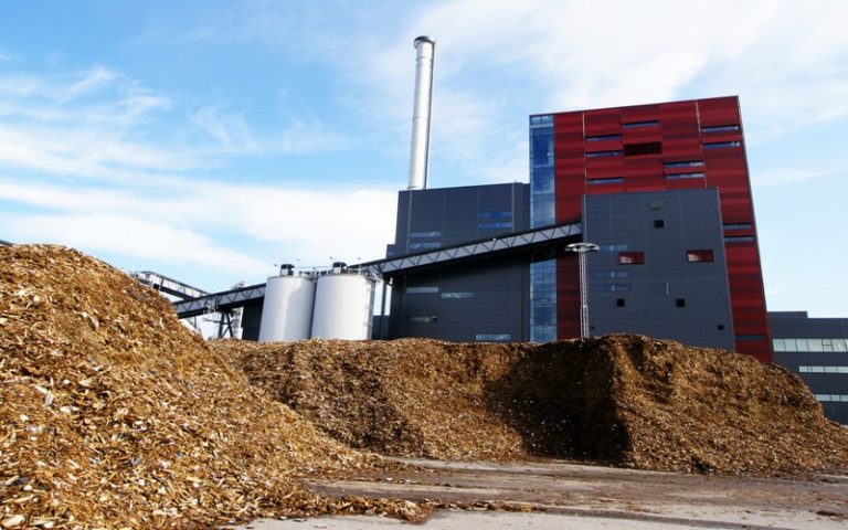 Focus sur la biomasse, une alternative renouvelable aux énergies fossiles