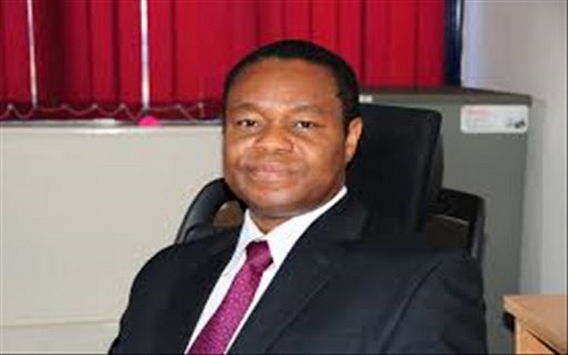 L’Afrique peut s’inspirer des efforts de la Chine pour protéger sa faune, selon un responsable de l’AWF