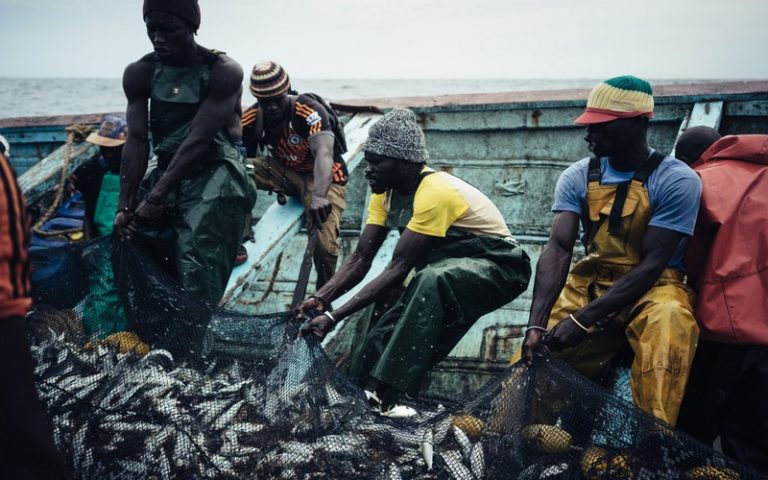 Les multinationales de la pêche pillent les océans de l’Afrique de l’Ouest alors que le secteur artisanal est verrouillé par la Covid-19