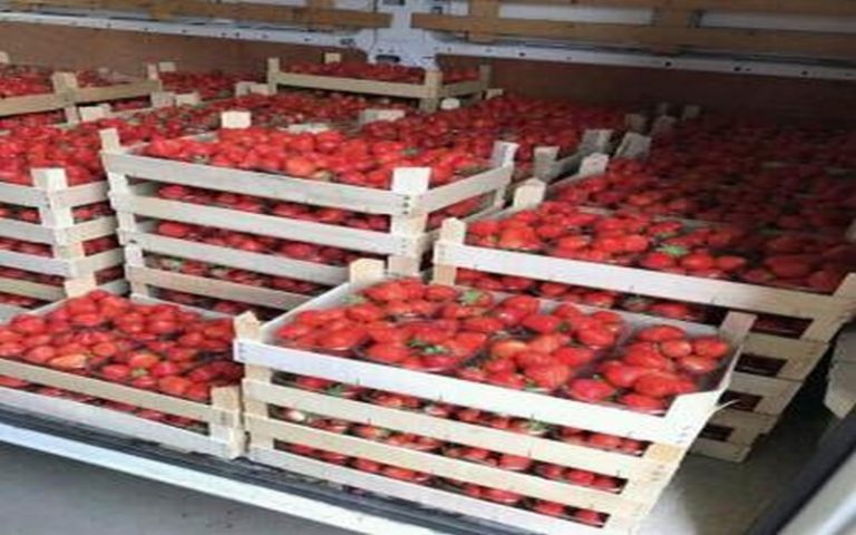 MahoFood, une initiative de mobilité-transports.af, au chevet des producteurs africains