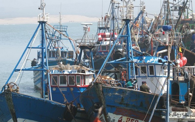 Maroc : la Confédération nationale de la pêche côtière appelle à une révision des textes régissant ce secteur