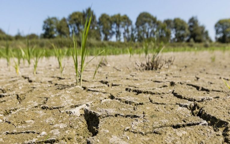 Pour l’ONU, le réchauffement climatique fait peser des menaces croissantes sur l’Afrique