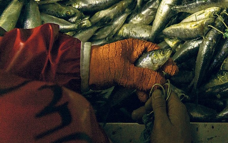 Secrets et puissance de la flotte de pêche chinoise