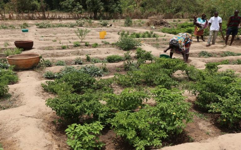 Afrique : la BAD forme à l’élaboration de projets éligibles au financement du FVC