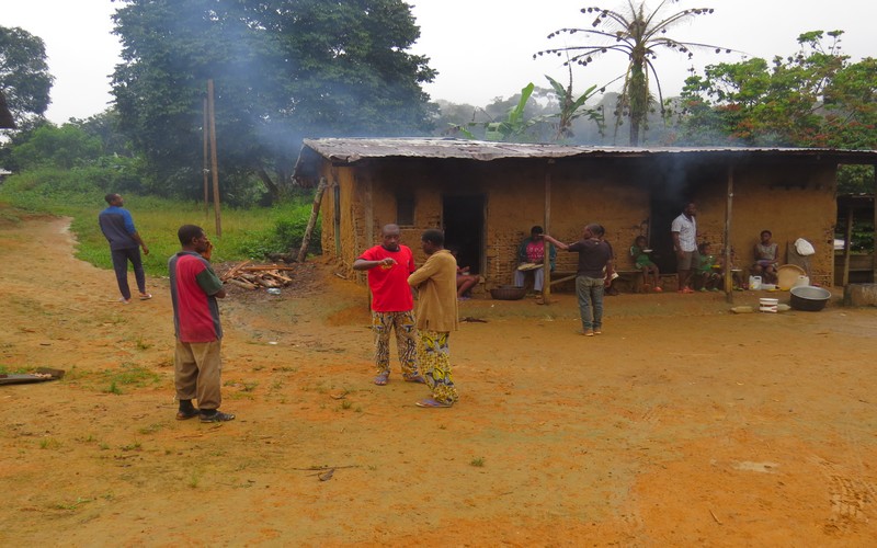 Cameroun : les riveraines de la forêt d’Ebo exclus du projet d’exploitation