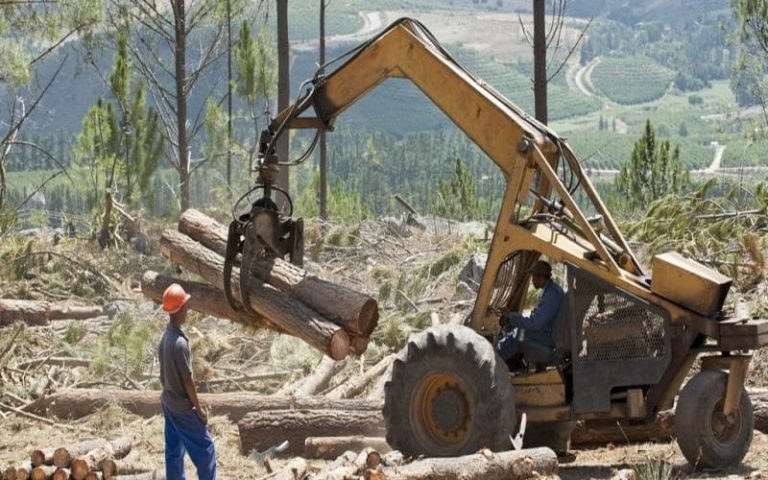 Ghana : Rainforest soutient la lutte contre la déforestation à Sefwi-Wiawso