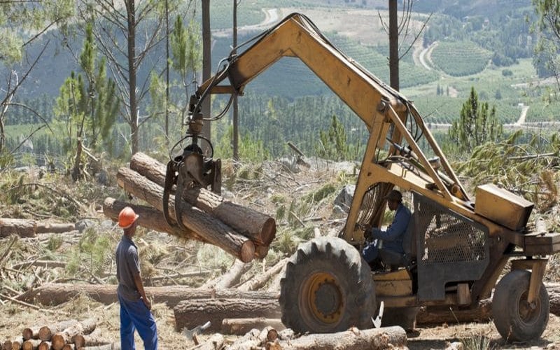 Ghana : Rainforest soutient la lutte contre la déforestation à Sefwi-Wiawso