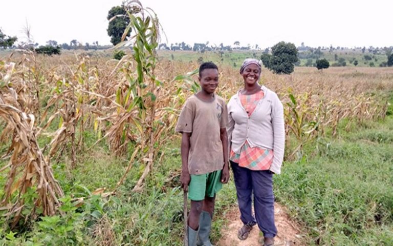 Ghana : une productrice transforme une forêt dégradée en champ de maïs prospère