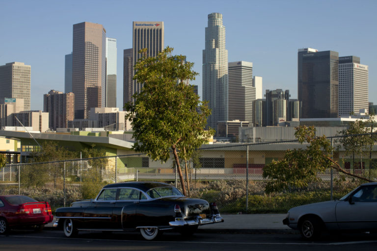 Lutte contre la chaleur : Los Angeles s’allie à Google pour cartographier ses arbres