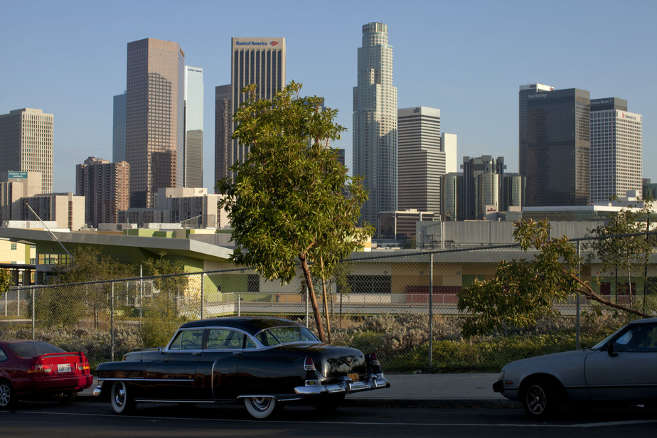 Lutte contre la chaleur : Los Angeles s’allie à Google pour cartographier ses arbres