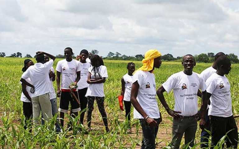 Sénégal – MESRI / USAID : Le comité de pilotage du projet 4-H Sénégal mis sur pied pour une jeunesse engagée et créative