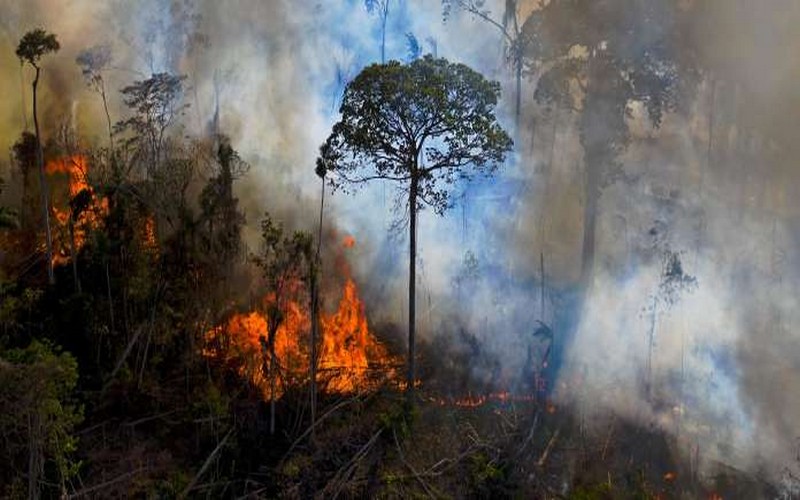 Le Brésil accusé d’entraver le processus de négociation de la COP15 sur la biodiversité