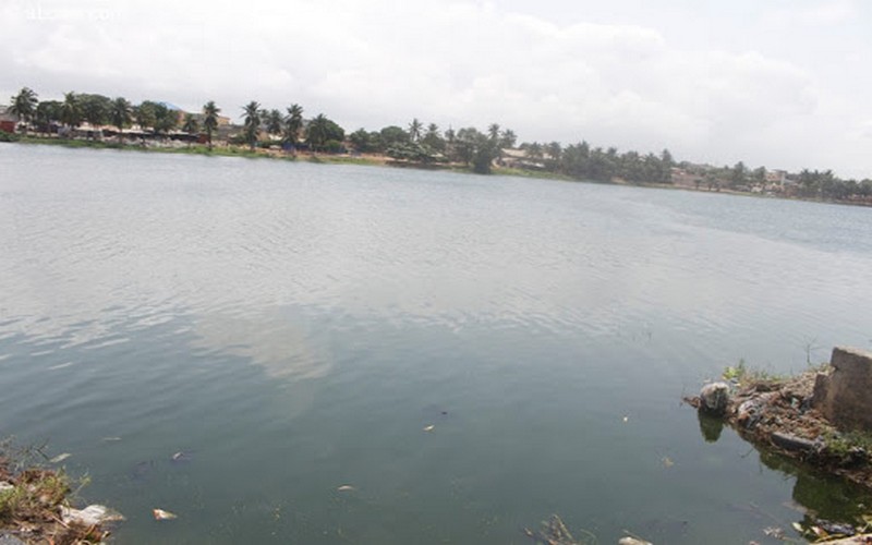 Le PNUE affirme que l’Afrique a besoin d’un élan écologique pour accélérer sa reprise