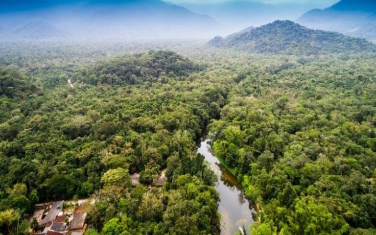 Les grands enjeux de la biodiversité en Afrique de l’Ouest