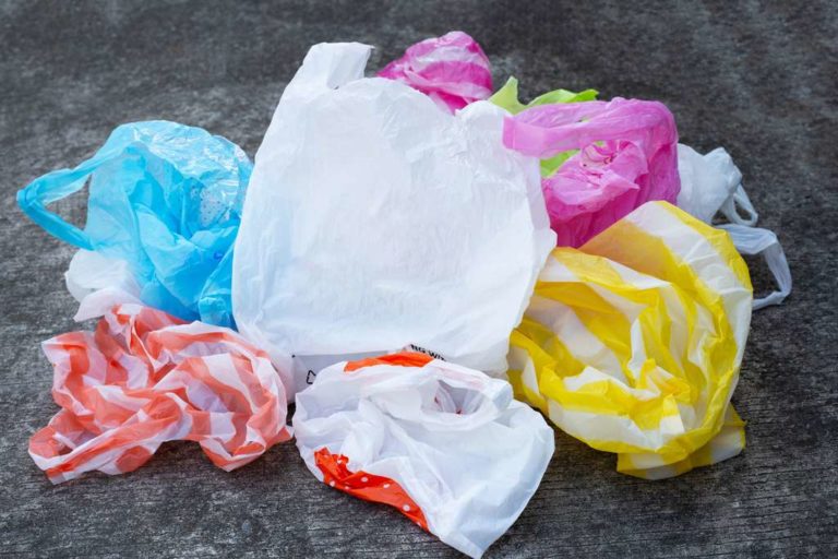 Les alternatives au sac plastique : fibres de bois, toile de jute, bioplastique, etc.