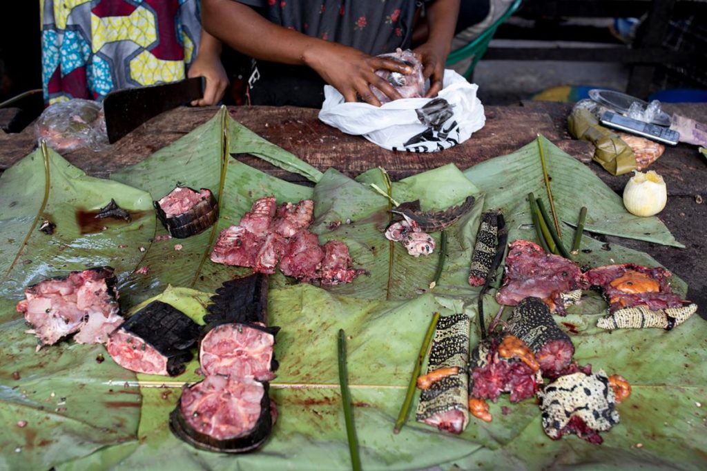 LA VIANDE DE SINGES, D’ANTILOPES OU DE PANGOLINS S’ARRACHE TOUJOURS EN RDC, MALGRÉ LES RISQUES DE MALADIE