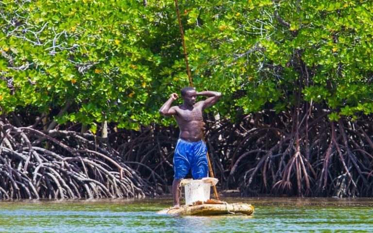 Afrique : l’UE accorde 9,9 M€ à FDA et WIA pour la conservation des zones humides