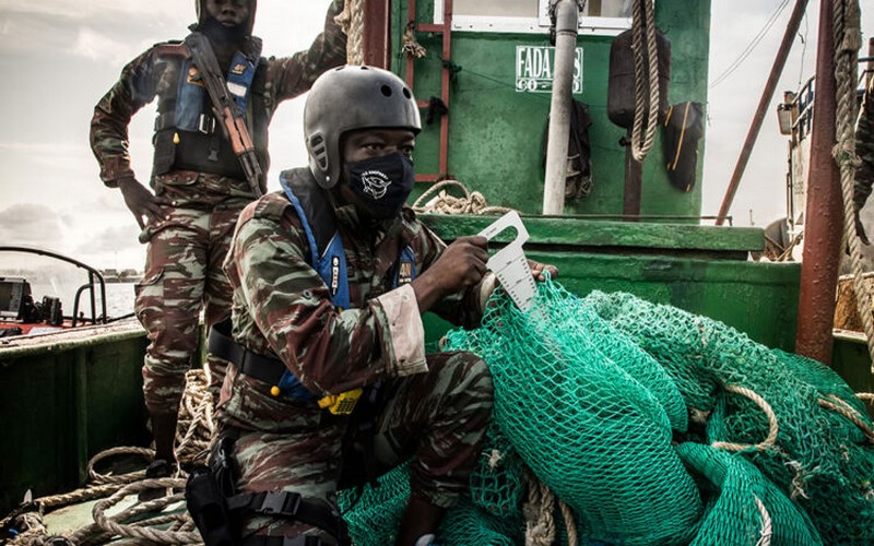 Bénin-Pêche illégale : l’ONG Sheperd et la Marine interceptent un navire
