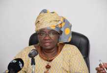 Face aux députés, Aïssatou Sophie Gladima évalue le pétrole et des énergies