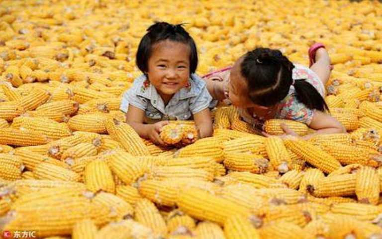 François Luguenot s’exprime sur l’influence de la Chine sur les marchés agricoles mondiaux