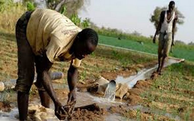 La Banque mondiale appuie six pays d’Afrique dans le renforcement de la résilience agricole