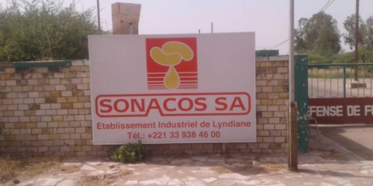 SENEGAL : Faute de graines à triturer, la Sonacos au bord de l’impasse