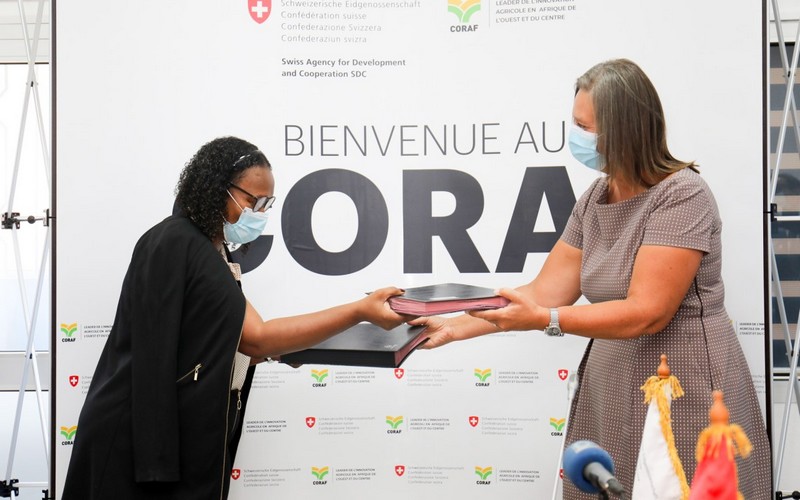 La Suisse finance l’accès des petits agriculteurs africains aux technologies agricoles améliorées