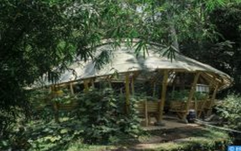 La déforestation affecte de « manière catastrophique » les écosystèmes des peuples autochtones Argentins, selon la presse