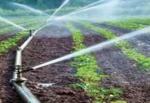 Révolution Agricole et Alimentaire : Des initiatives pour protéger les écosystèmes et la santé publique