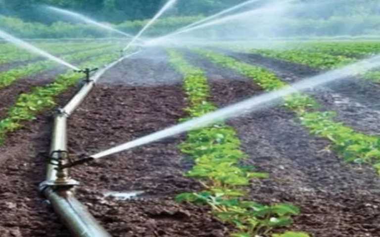 Révolution Agricole et Alimentaire : Des initiatives pour protéger les écosystèmes et la santé publique